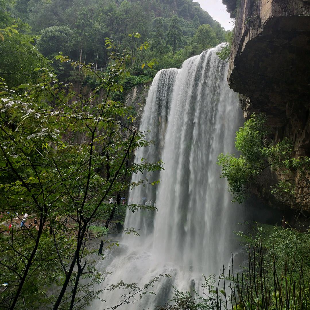 石化安装（一建机电、国监）