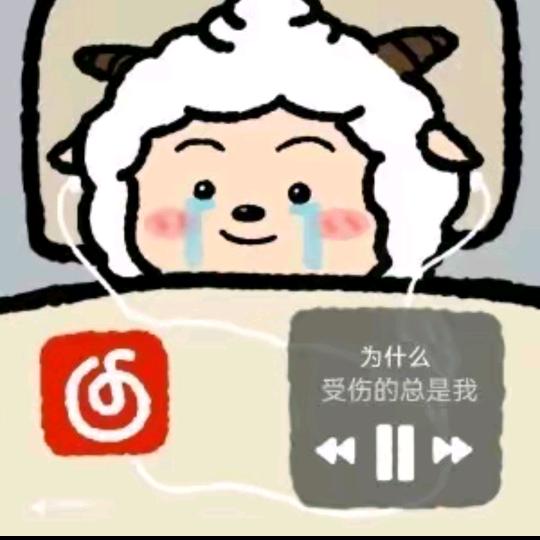 小猫咪也想吃大咸鱼🌈
