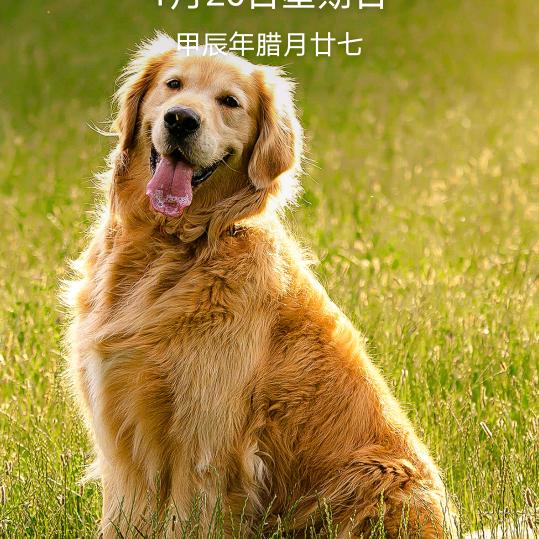 爱你