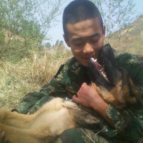 地主训犬