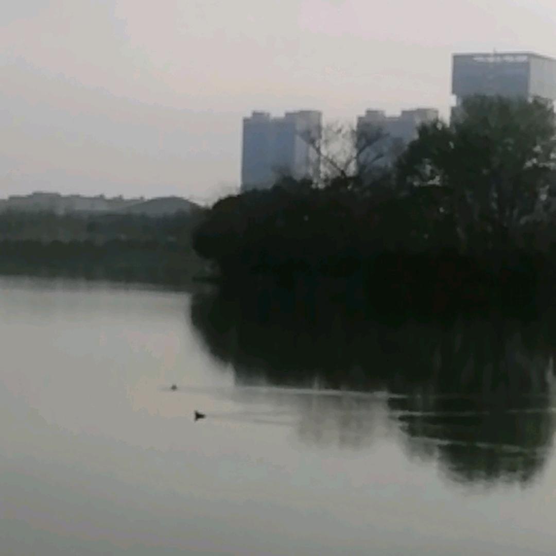 🖤攻无不克🔕