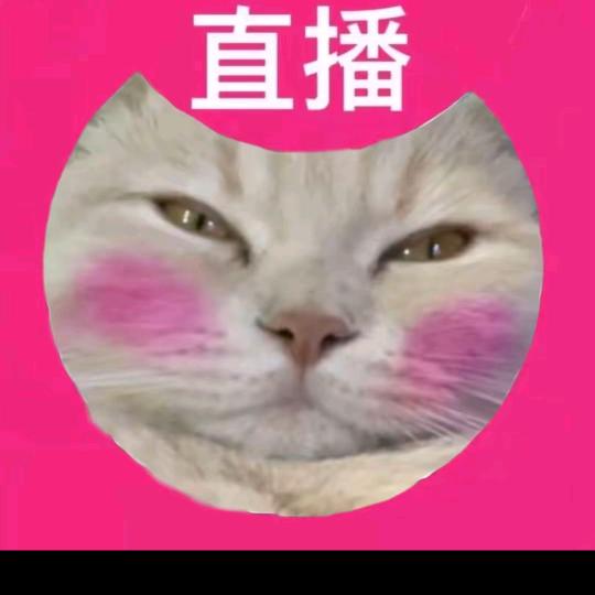 半分情