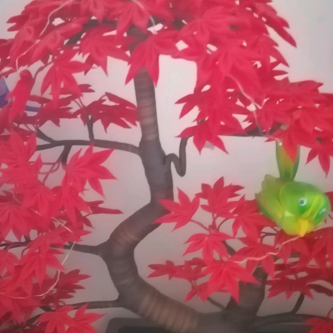 畅哥