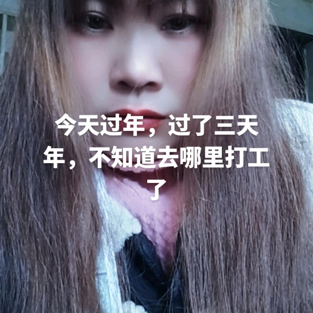 贵州~燕子