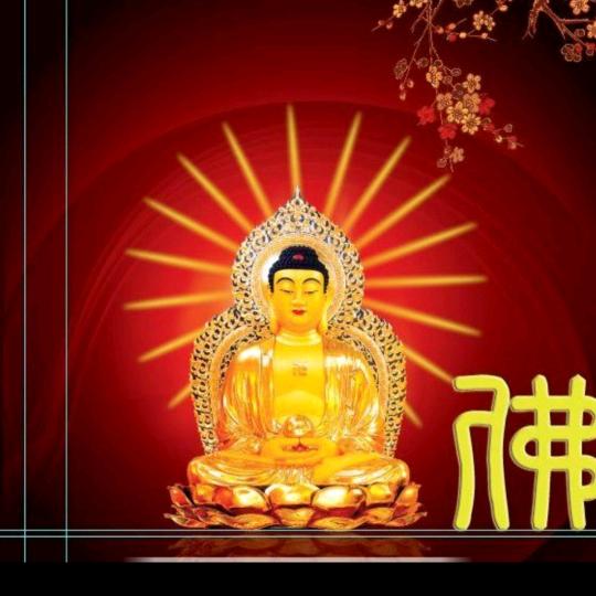 用户4941360112351聚缘堂