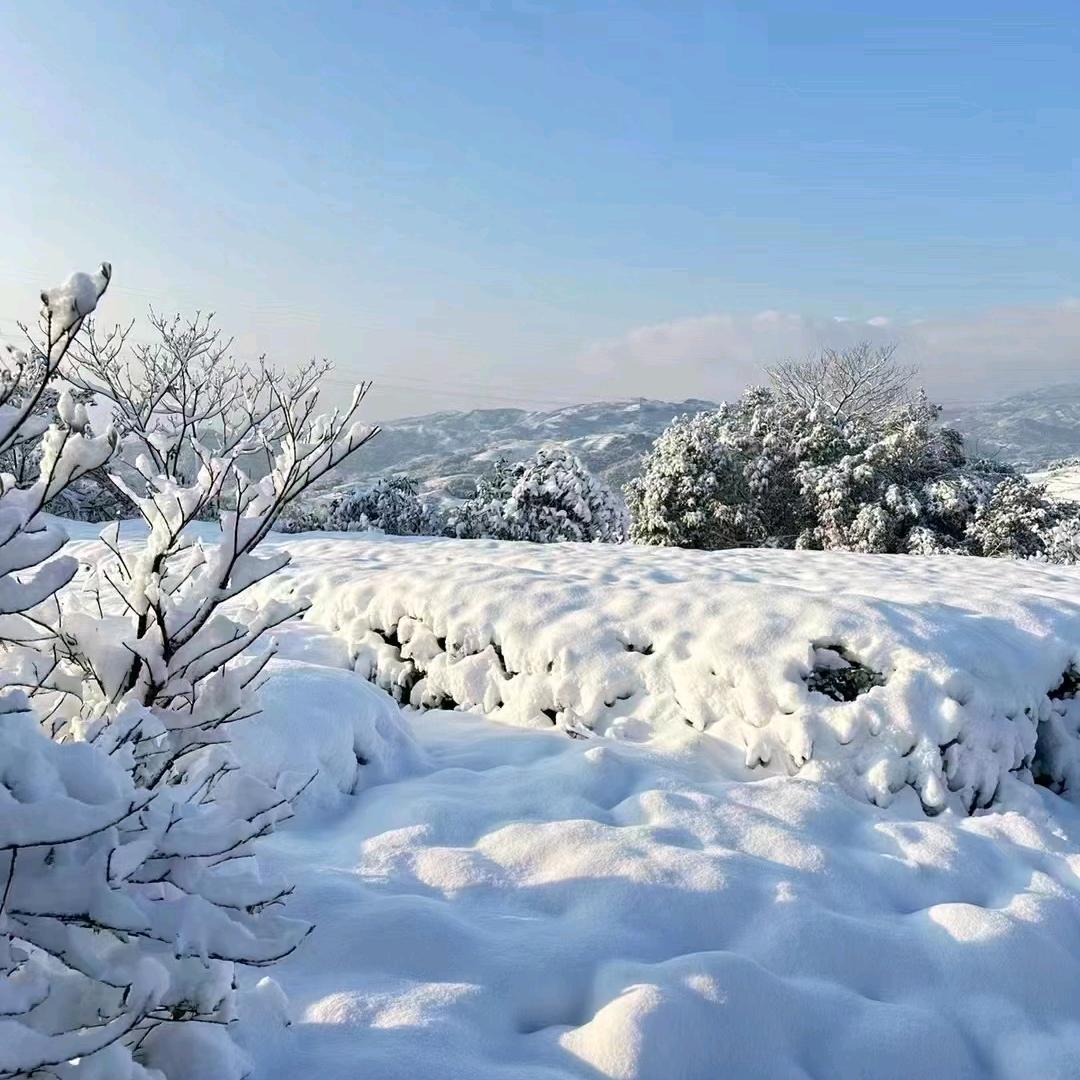 坡坡上农场小铺