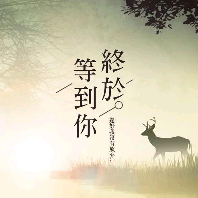 手牵手一起走