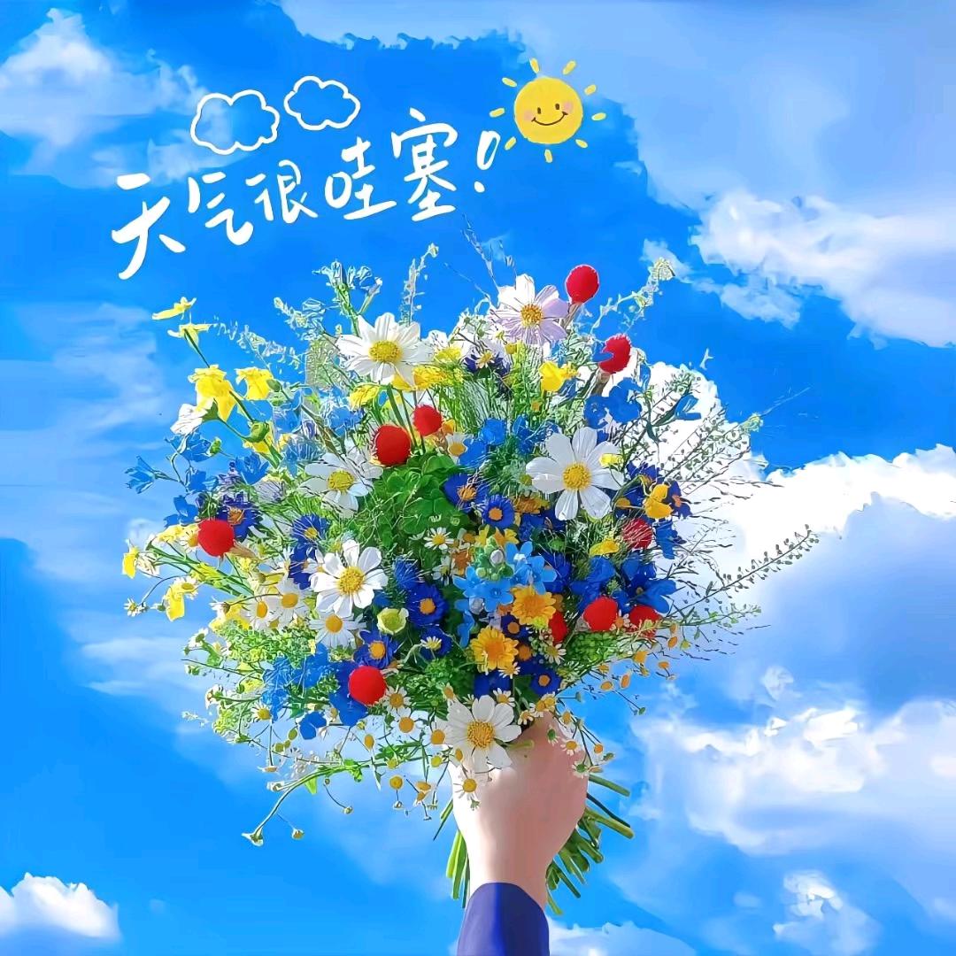 吖  頭 （努力版）