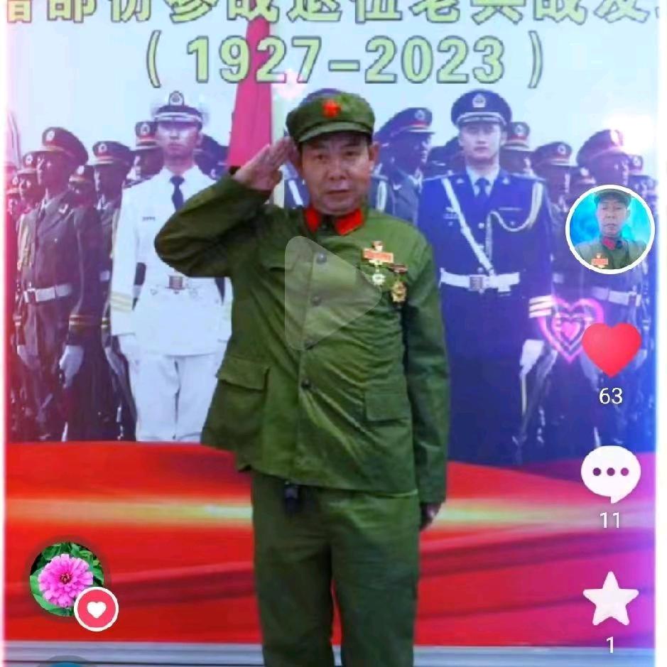 一网情深