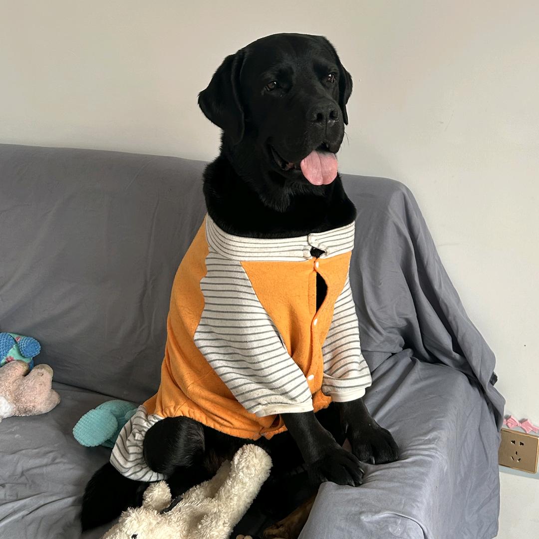 十五有点犟