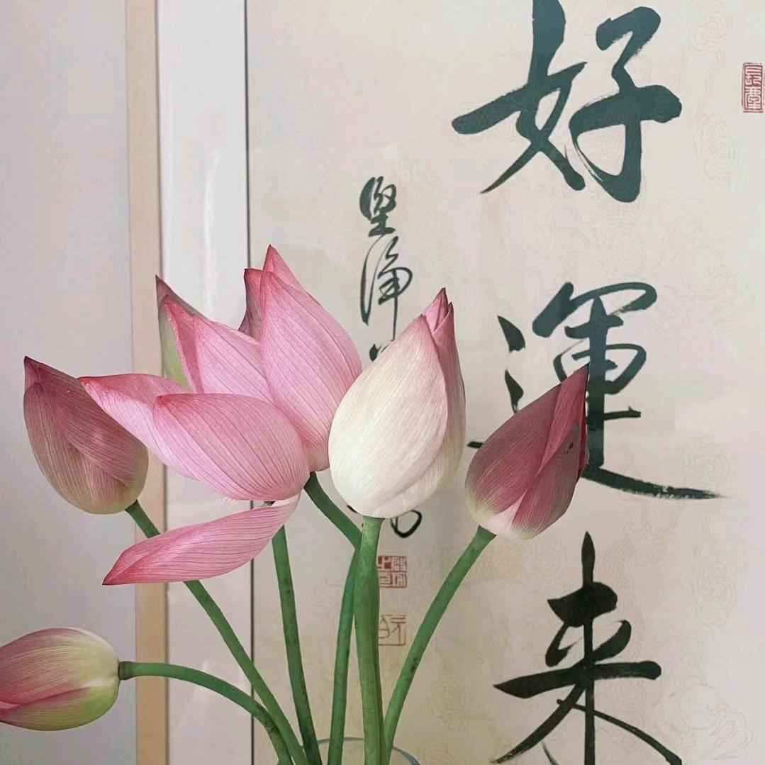 爱旅游的柚子☝️