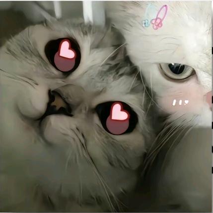 小于.a