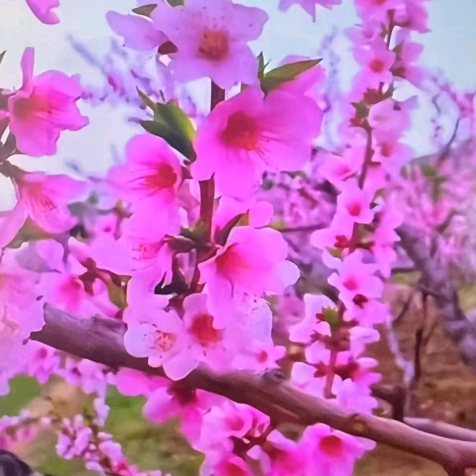 家庭快乐