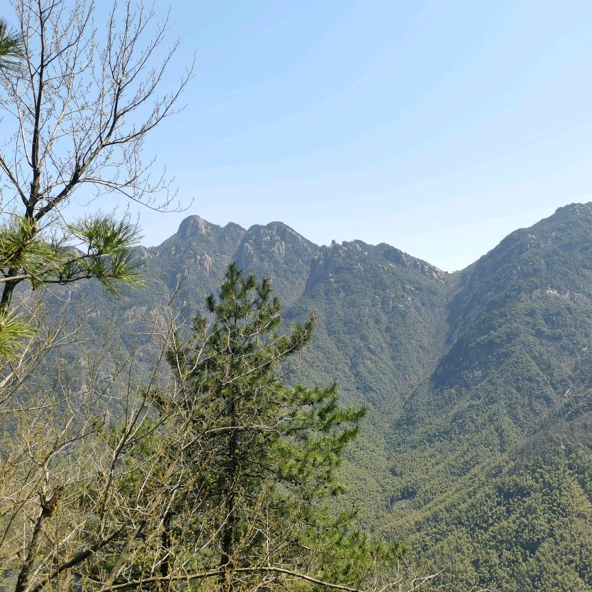 来自乡下的土猪