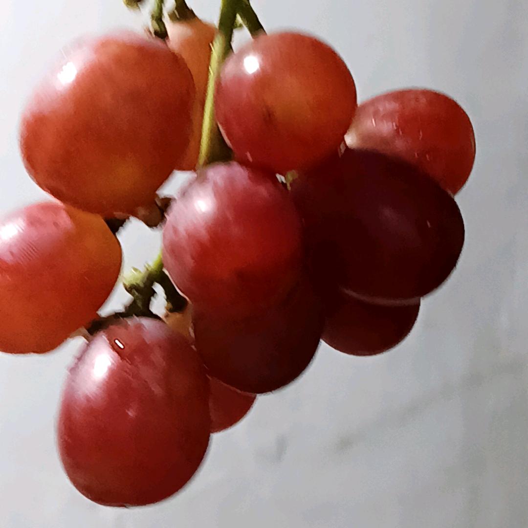 顾清月