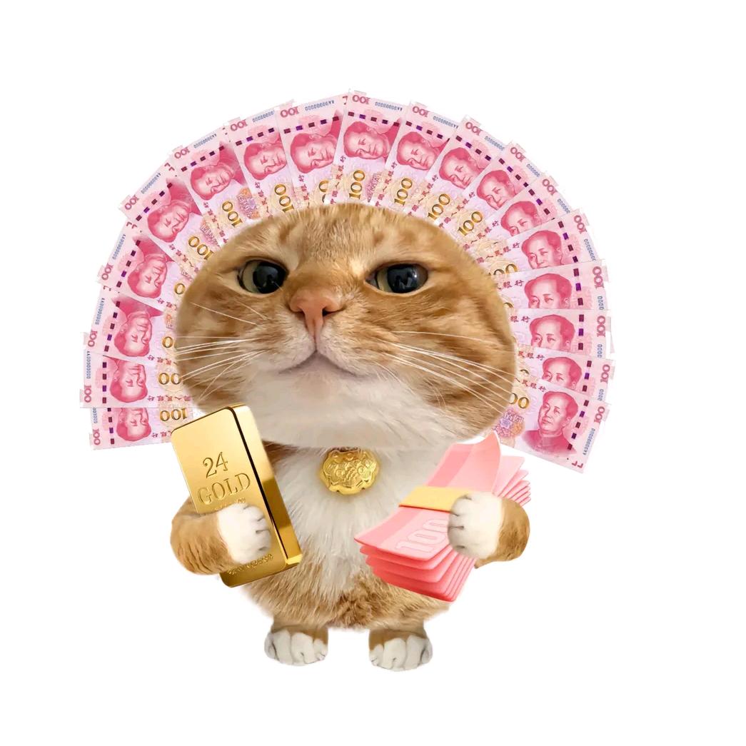 对方正在长头发