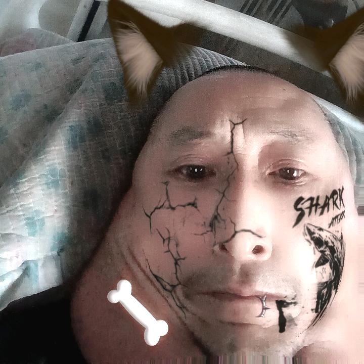 刘小