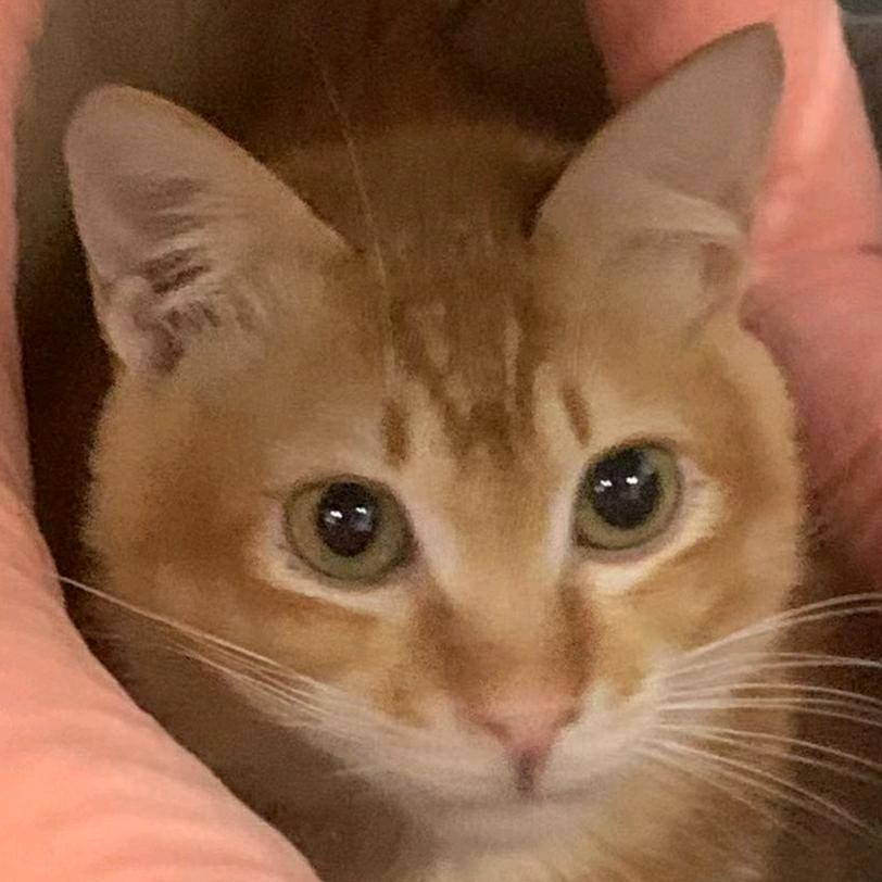 开心🐾🐾🐾