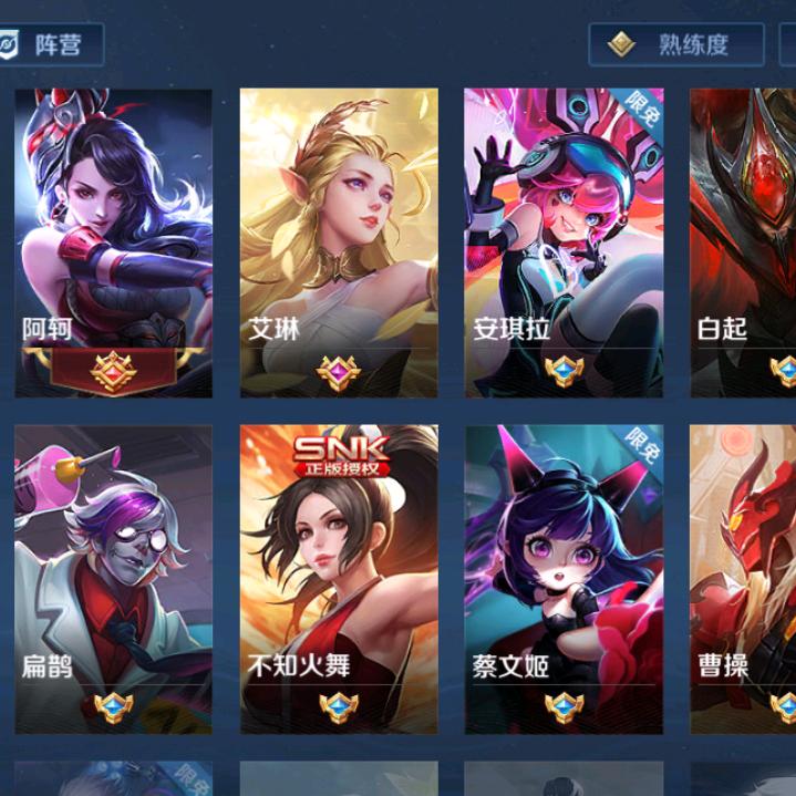 王者归来之娱乐天空