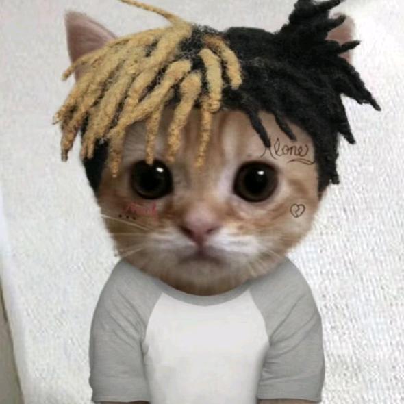 “美”骨头的🦴