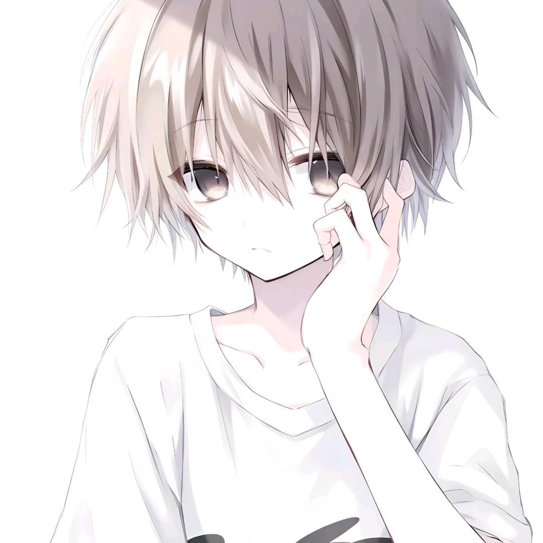 a梦（顶级朵车）