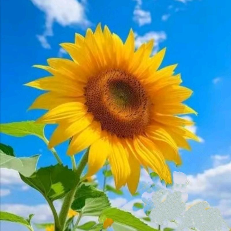 天地能量