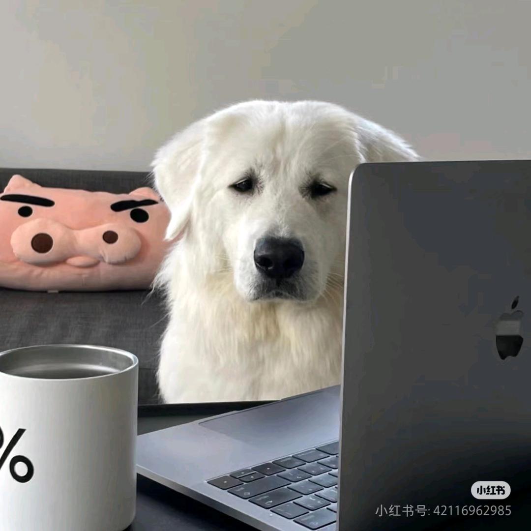 &不乱于心&