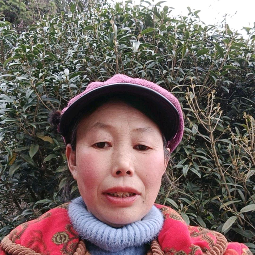 杜姐1
