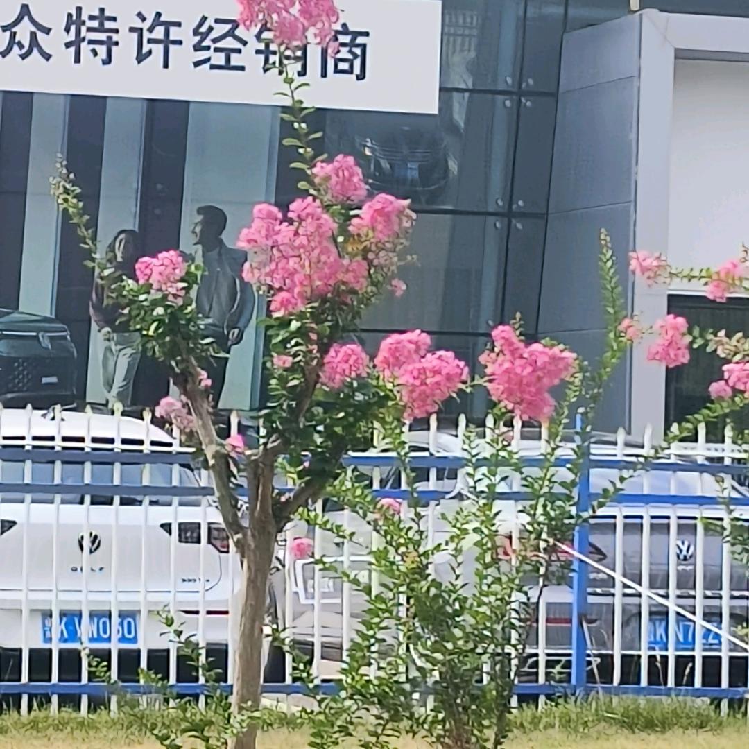 正心