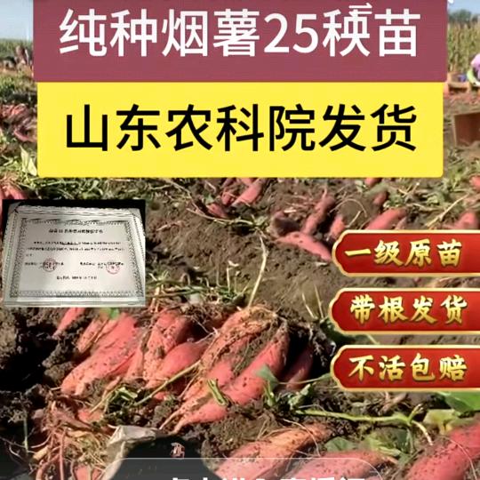 平淡正能量