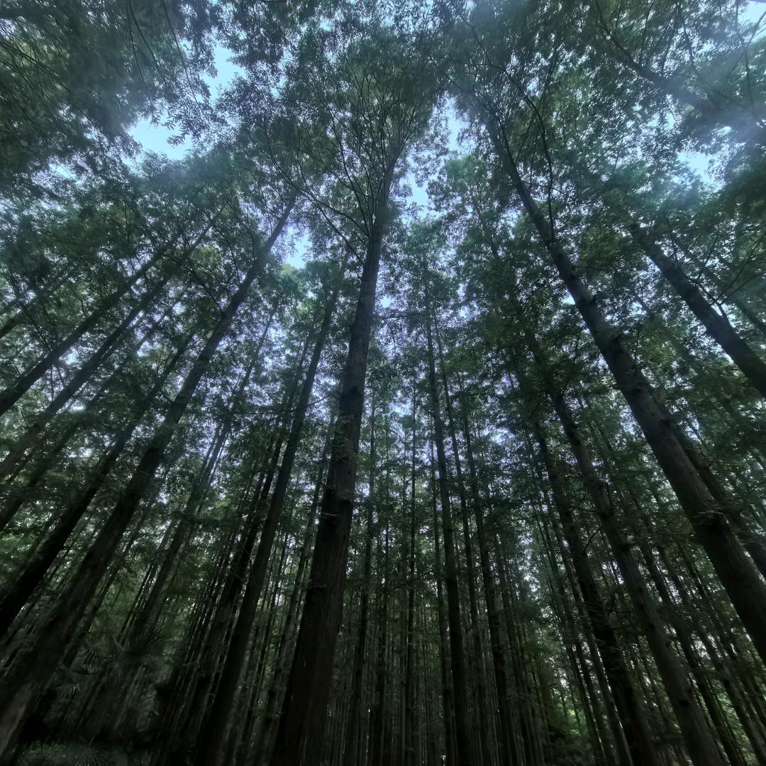 小学生的烦恼