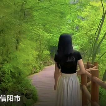 何姐小院