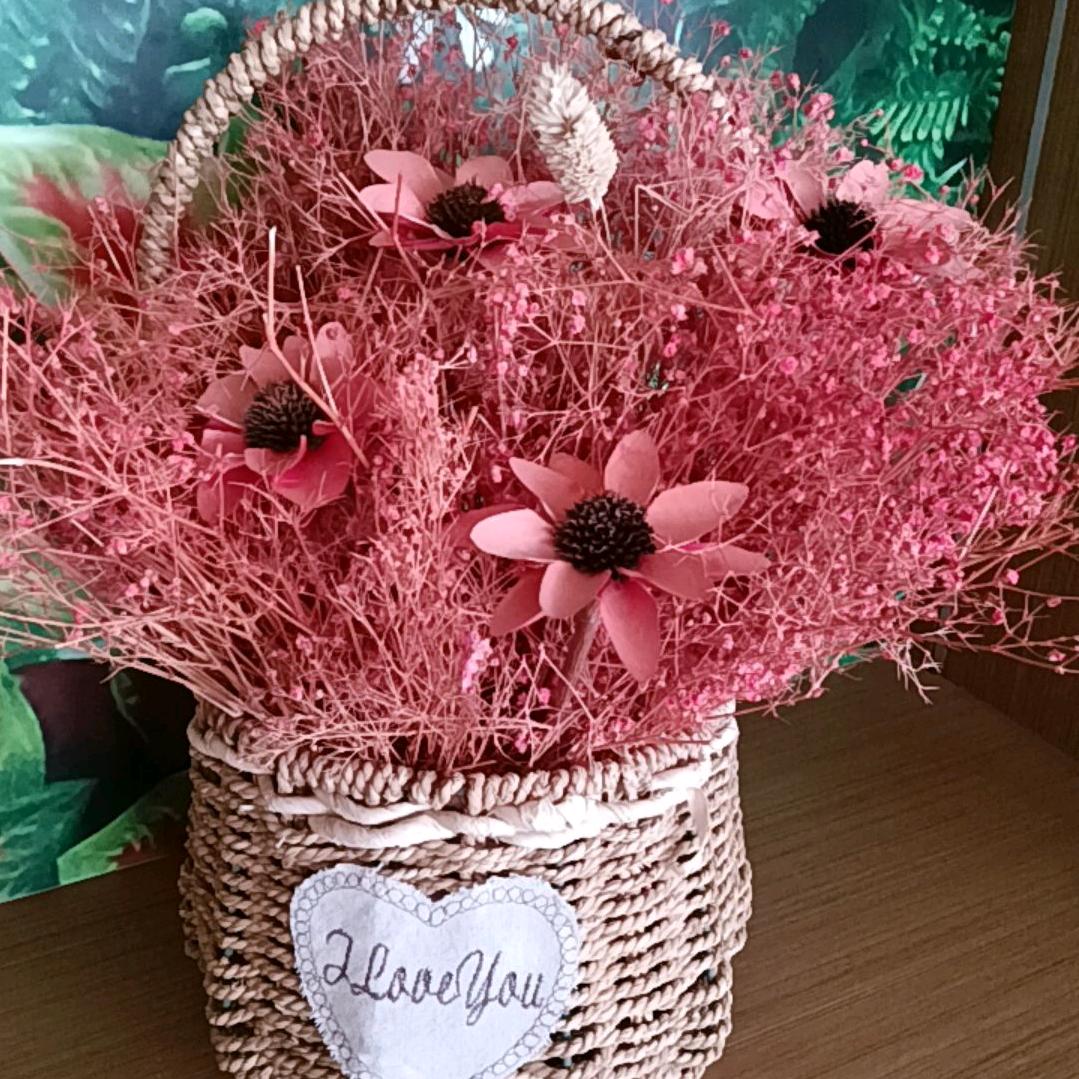 (๑• . •๑)素素(๑• . •๑)