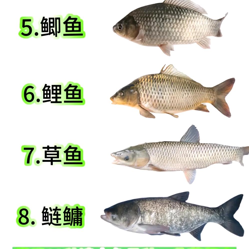 友情友谊、