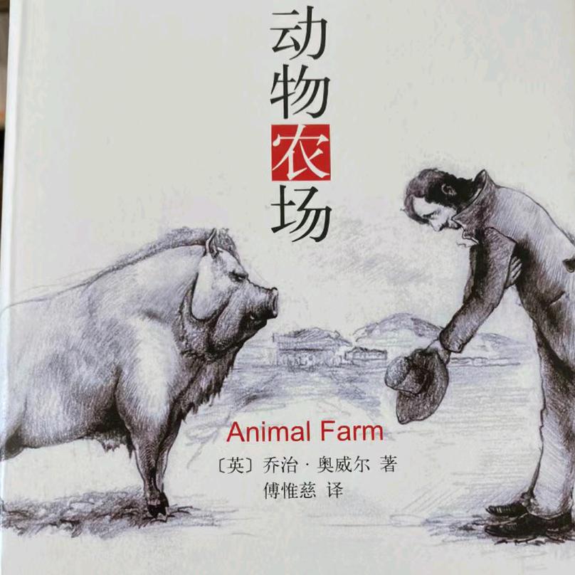 老高考志愿规划