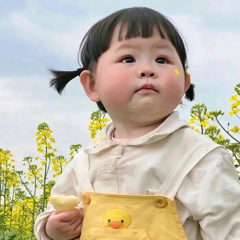 无钱可借勿问💶