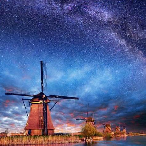 壹树种草的头像