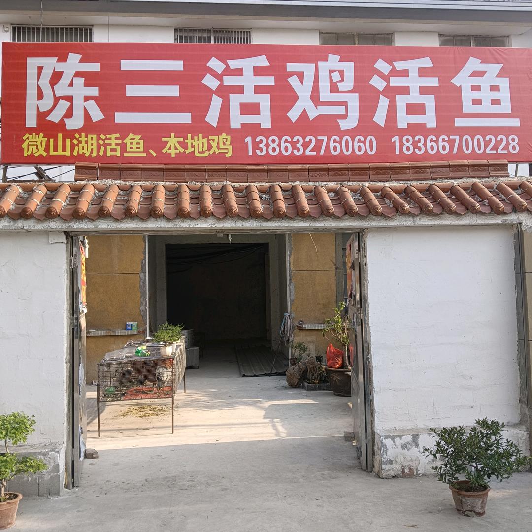 本地公鸡，微山湖野鱼