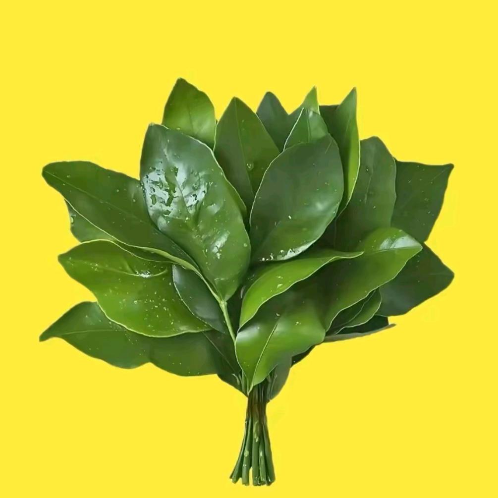 九号电动车北京优惠团购（金水）