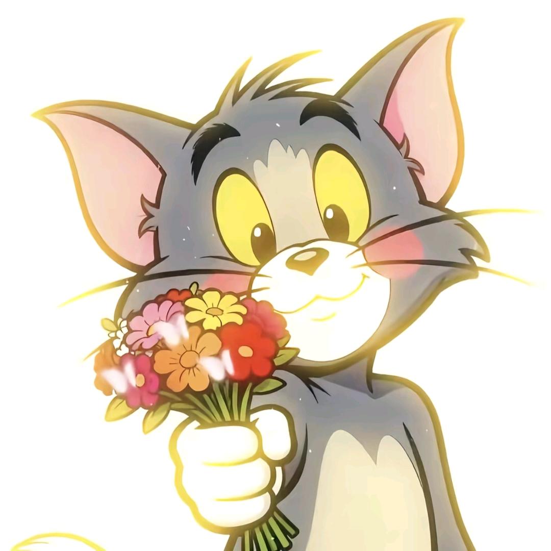 🥀ᥫᩣ꧔ꩵ惜你如命প᭄࿆᪲🥀