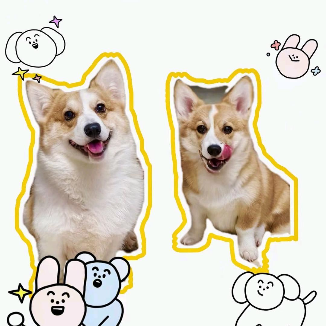 养乐多巴胺🐶