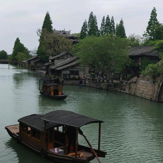 小壁虎