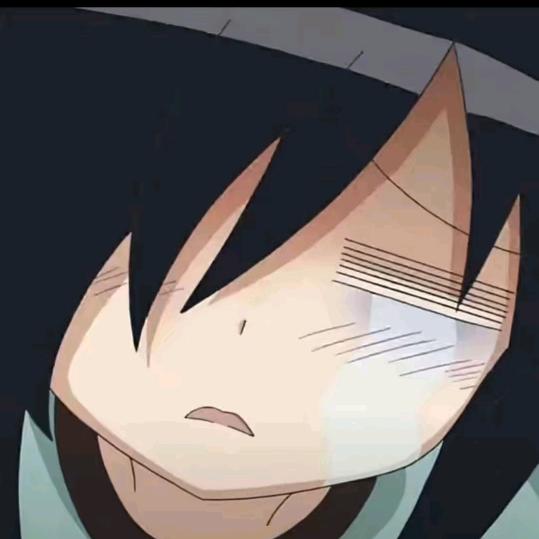 晓晓晓晓晓晓