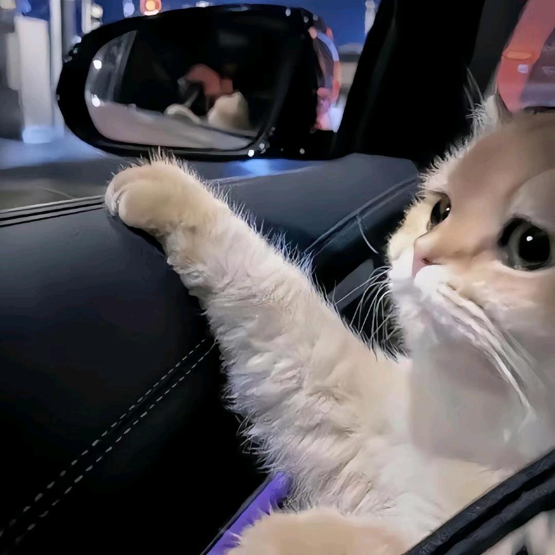 一点就散场