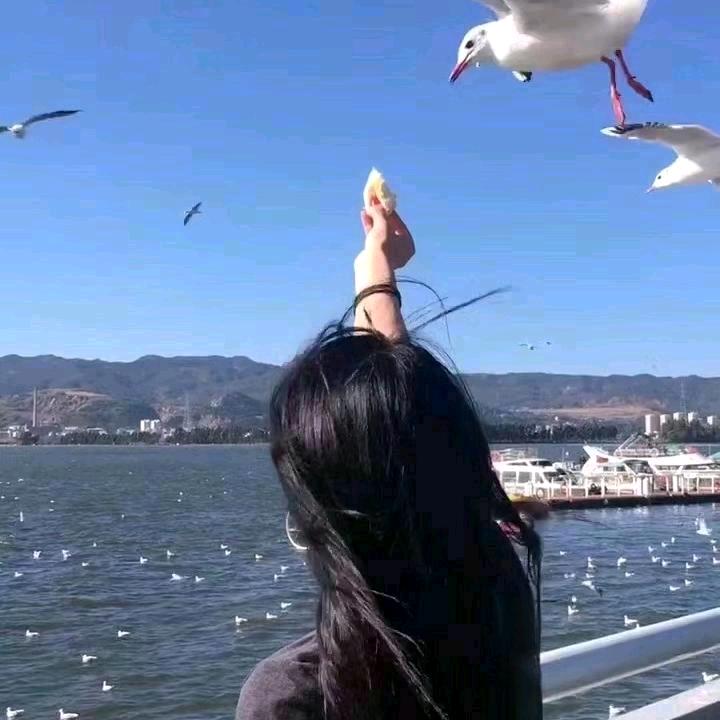 🕊ᴿᵘᵏʸ🌤
