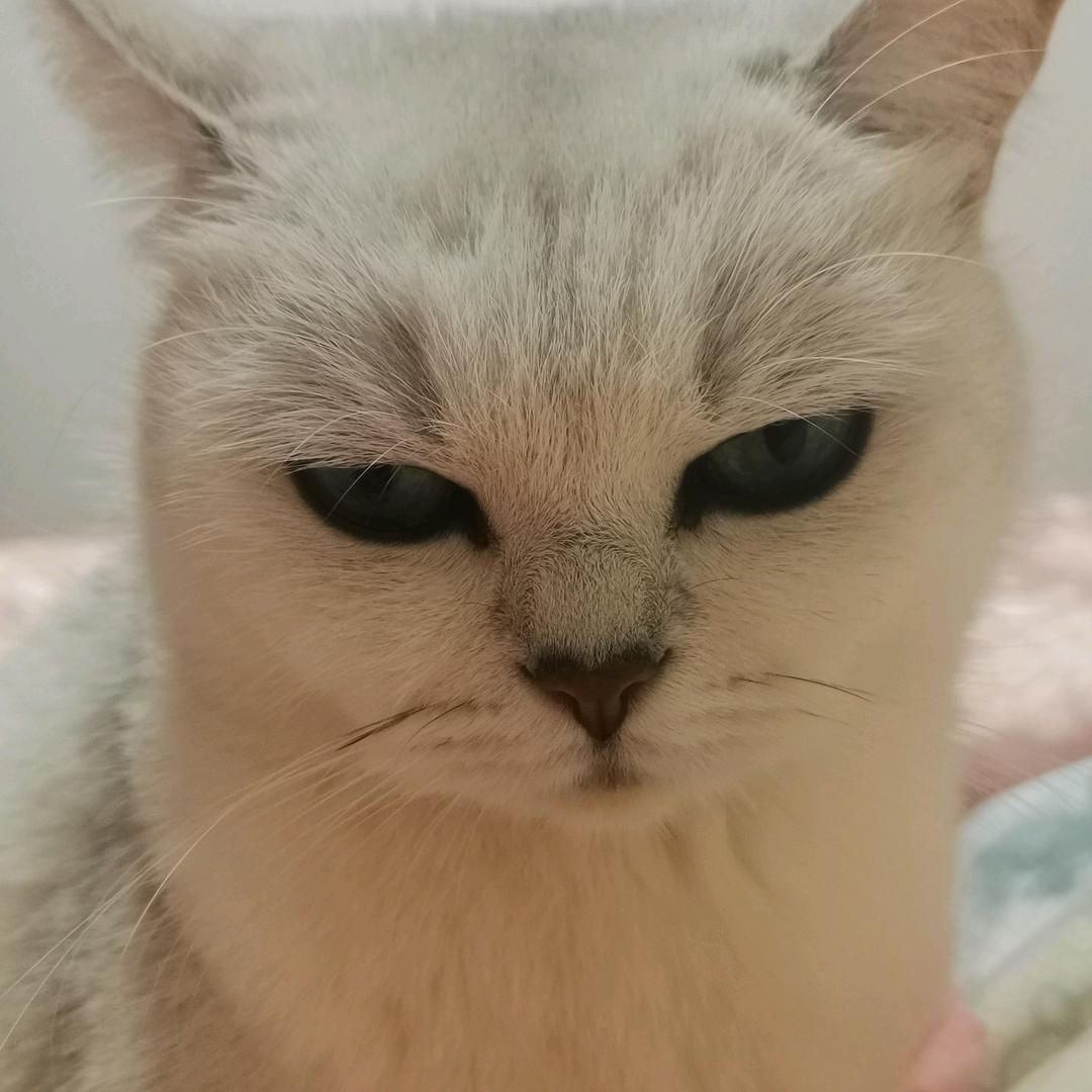 糖宝不甜