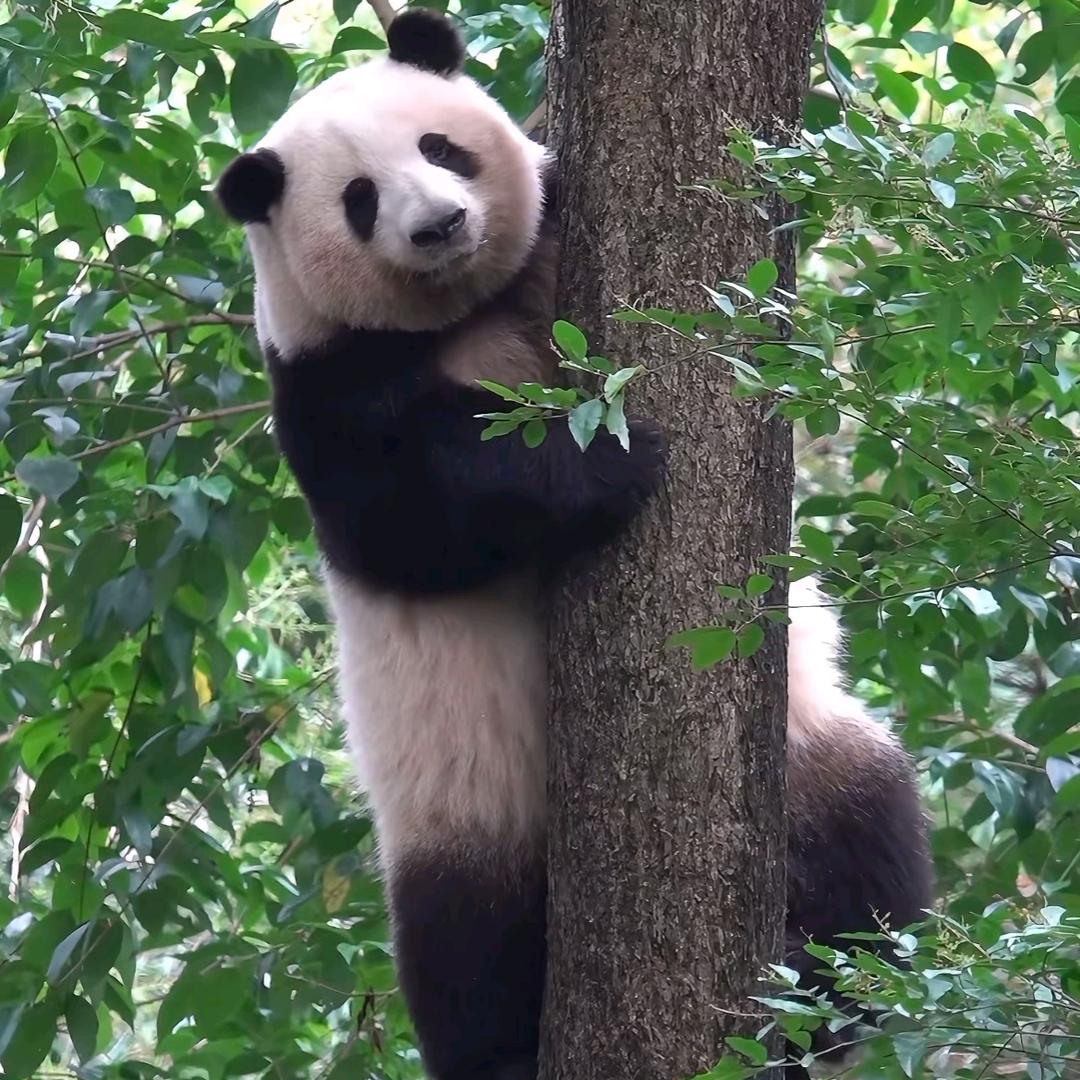 爱财爱己 风生水起