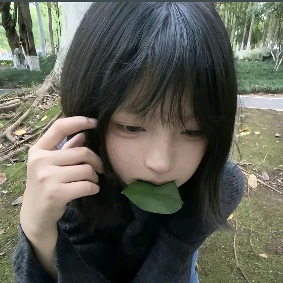 李星星