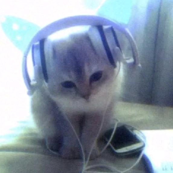 냥이