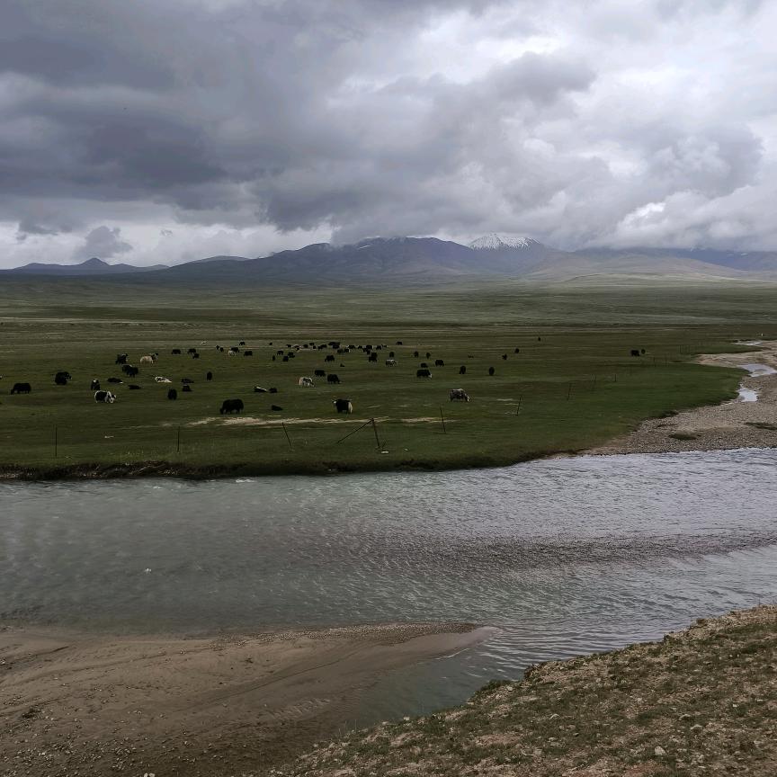 科学电鱼⚡️🐟